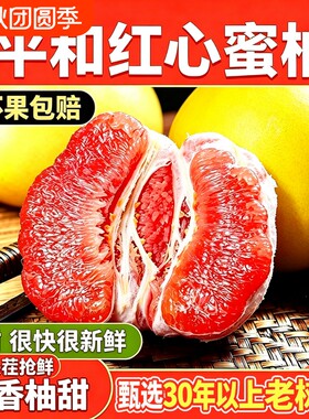【单果果王3斤+】正宗福建漳州平和红心蜜柚红肉柚子甜柚特大果