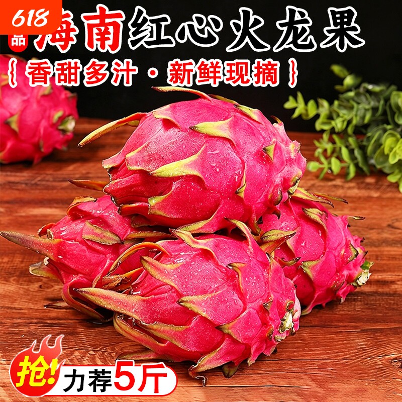 老树果红心火龙果新鲜红肉细腻鲜嫩圆润饱满大果当季水果农家现摘