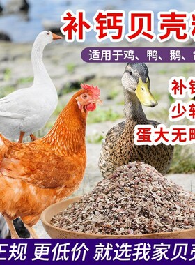 高钙贝壳粉饲料鸡鸭鹅鸟鸽子鹌鹑促钙吸收预混料添加剂养殖家禽