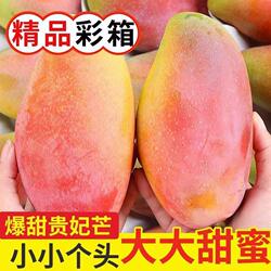 海南贵妃芒树上熟三亚芒果当季新鲜水果自然成熟特大果辣椒芒