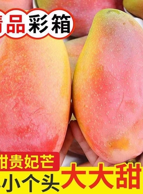 海南贵妃芒树上熟三亚芒果当季新鲜水果自然成熟特大果辣椒芒