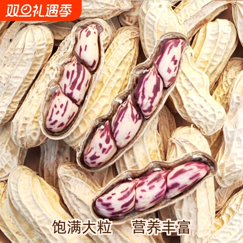 2025新货七彩花生云南普洱七彩晒干五彩花生种生带壳熟花生零食