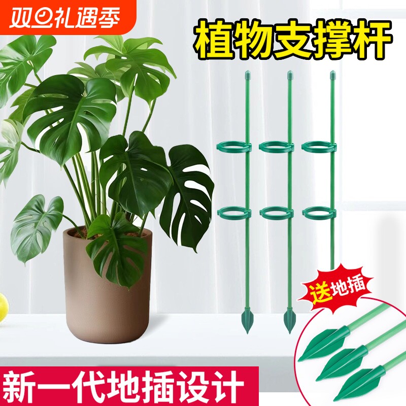园艺支撑杆花架固定器龟背竹花支架固定花神器植物花杆爬藤防倒伏