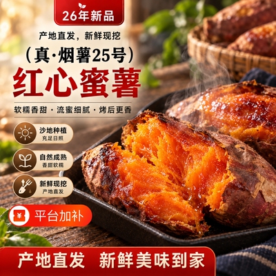 正宗山东烟薯25号蜜薯红薯烤地瓜新鲜糖心红心沙地山芋农科院软糯