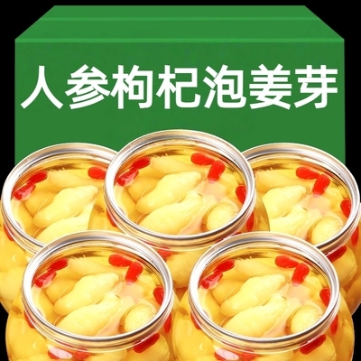 正宗山东枸杞醋泡姜芽新鲜嫩姜仔酸辣老坛生姜腌制即食泡菜下酒菜
