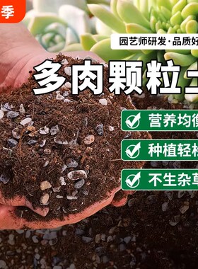 多肉专用颗粒土花土养多肉土