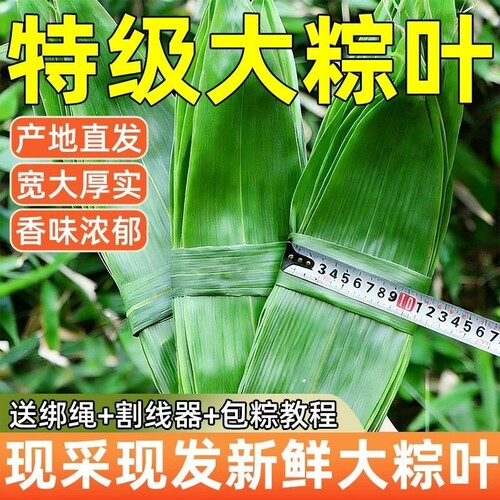 批发价超大片粽叶】线下同款