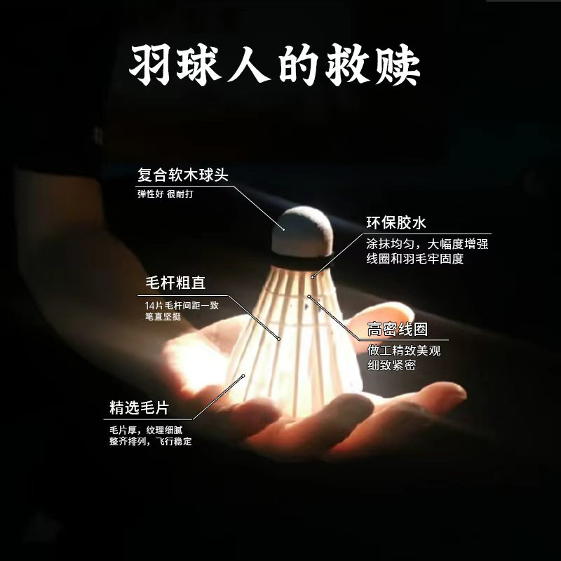 羽毛球12只6个装正品耐打王稳定羽毛球白色室外学习训练比赛用球