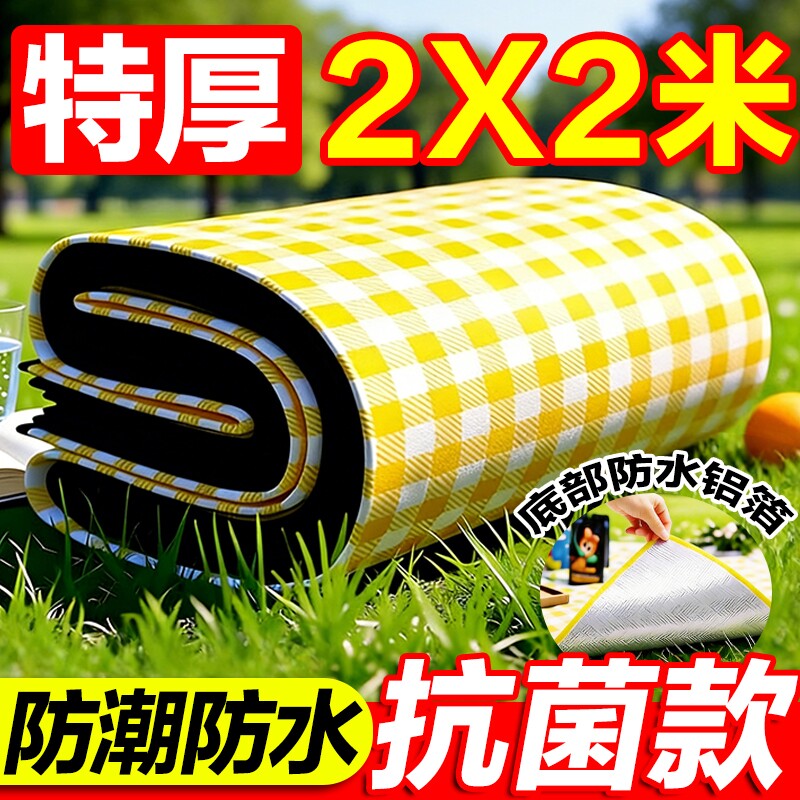 野餐垫户外防潮垫防水加厚便携徒步沙滩垫便携露营野炊草坪地垫子