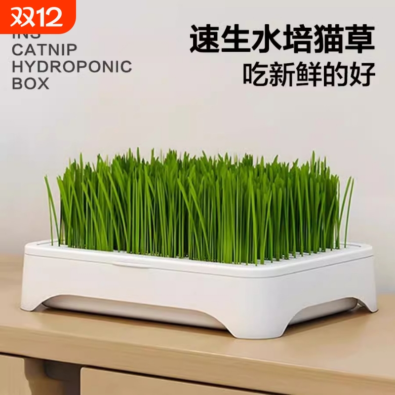 无土水培猫草懒人种植猫咪零食
