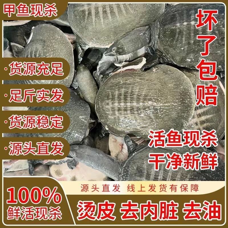 鲜活现杀麻辣甲鱼卤商用半成品食材水鱼团鱼老鳖代杀水产冷冻新鲜