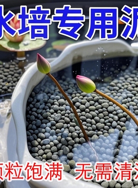 碗莲水草泥高肥力不臭水不浑水铜钱草睡莲水培植物营养泥水养
