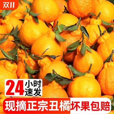 丑八怪丑橘10斤新鲜|千人加购
