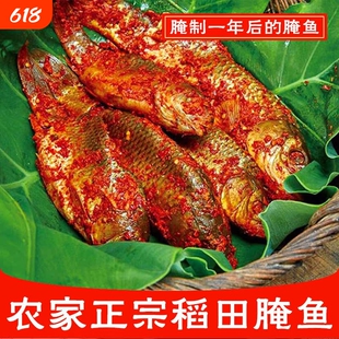 贵州黎平到稻花鱼腌鱼5斤装酸鱼黔东南土特产整条稻田鱼鱼肥鱼肉