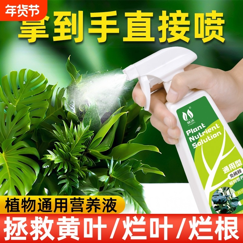免稀释植物营养液通用型盆栽肥料室内绿植发财树养花卉叶面喷施肥,鲜花速递/花卉仿真/绿植园艺,介质/营养土,淘宝优惠券,粉丝福利购,淘宝优惠卷