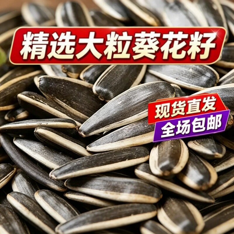 内蒙古原味炒熟葵花籽大颗粒瓜子5斤批发零食葵花子散装新货2026