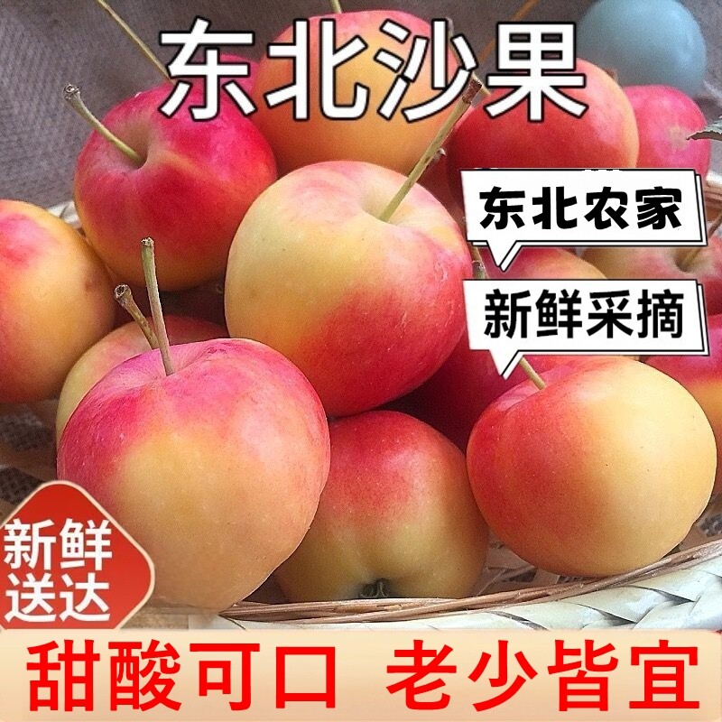 东北沙果新鲜海棠果当应季现摘水果秋果酸甜孕妇孕妇水果小苹果