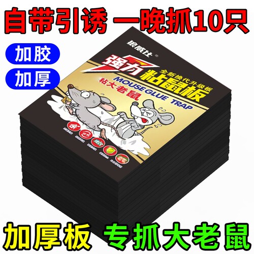 家用粘鼠板强力胶老鼠粘超强加大加厚灭鼠神器老鼠贴强力粘捕鼠