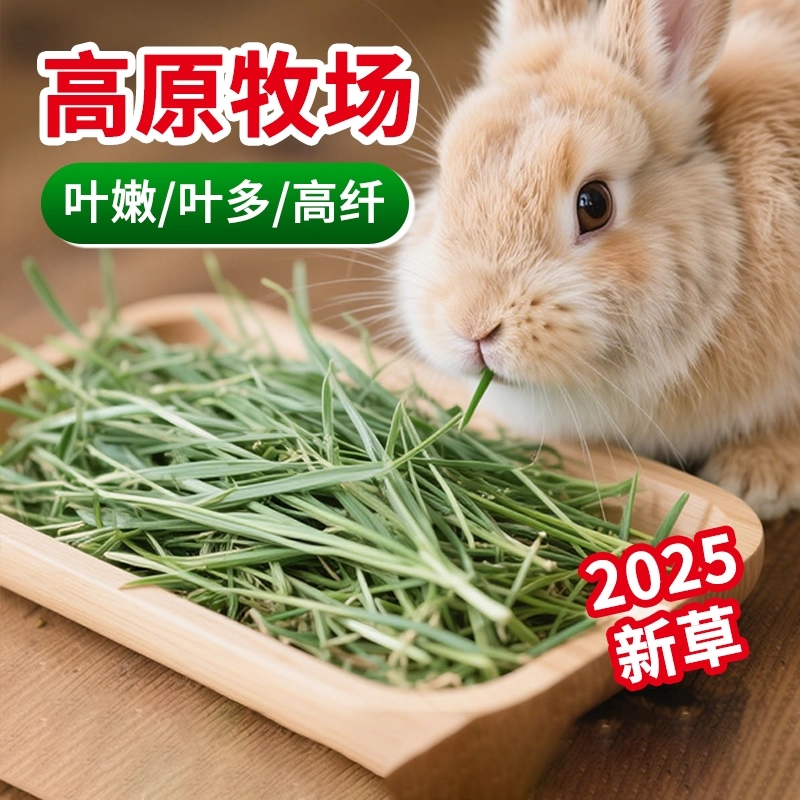 2025年晒干提摩西草干草兔子龙猫荷兰猪豚鼠牧草兔粮饲料美提加提