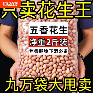 五香花生米烤花生正宗山东官方旗舰店脱油蒜香下酒菜炒新货新鲜