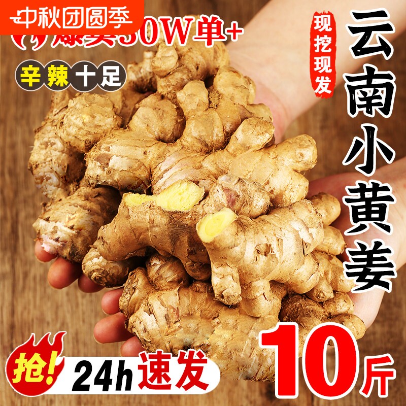 正宗云南小黄姜新鲜现发炒菜必备图片