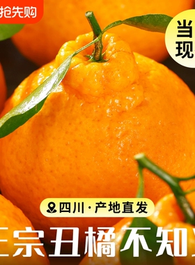 四川不知火丑橘10斤新鲜现摘爆汁大果时令当季桔子整箱包邮耙耙柑