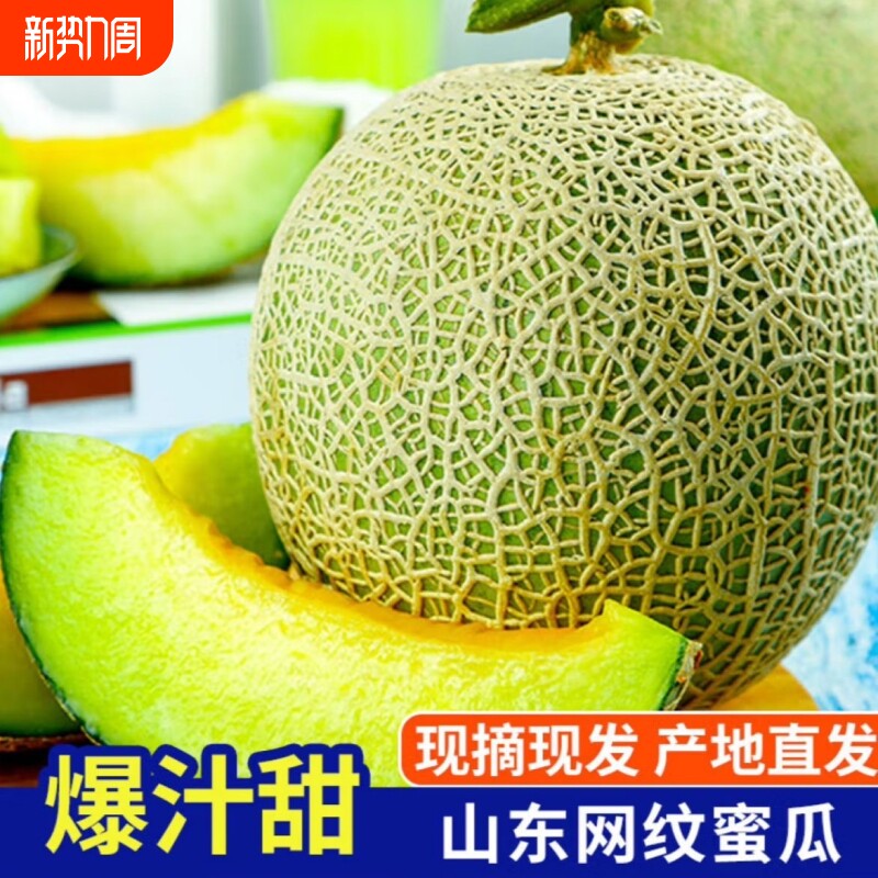 山东香甜网纹瓜蜂蜜瓜甜瓜应季新鲜水果哈密瓜批发现摘冰淇淋