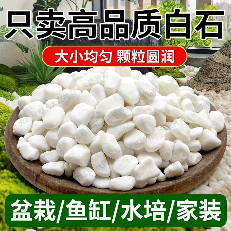 小白石头子鹅卵石花园庭院造景铺路雨花石盆栽鱼缸底砂多肉铺面石