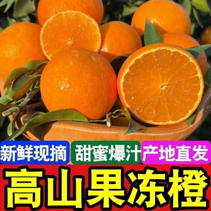 正宗四川青见果冻橙新鲜橙子手剥甜非爱媛38号橙柑橘桔子当季大果