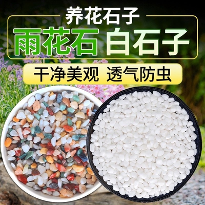 七彩石水培多肉铺面花盆垫底彩色石子白石天然养花园艺白鱼缸底砂