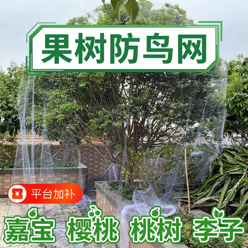 果树防鸟罩防鸟网防鸟用网果园尼龙透明泥鳅塘用网枇杷葡萄无花果