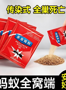 【10分钟！蚂蚁一窝端】专灭蚂蚁