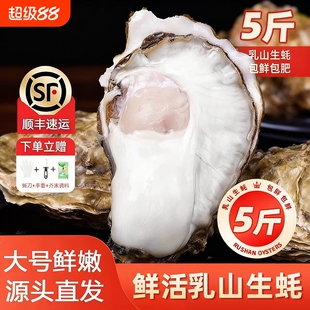 乳山牡蛎5斤 乳山生蚝大号生鲜威海海鲜海蛎子源头直发烧烤食材