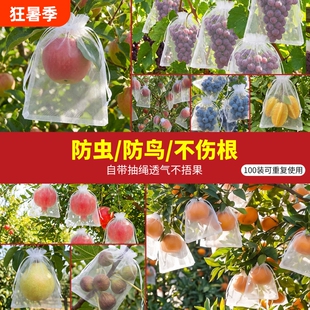 水果套袋防虫防鸟包桃子苹果专用果树套袋子网袋罩葡萄无花果植物