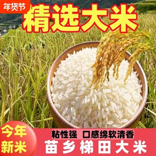 贵州苗乡梯田大米种植新鲜米现磨农家优质米一季当季家用精选清香