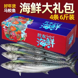 新鲜大马鲛鱼鲅鱼鲜活鲅鱼鲜海鱼青花鱼海鲜海捕礼盒装