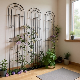 绿萝植物攀爬架爬藤架户外庭院网格铁艺花架花园月季 花支架阳台