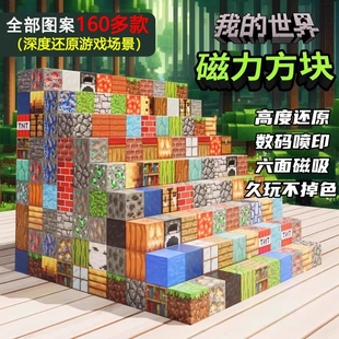 我 男孩玩具迷你儿童礼物 世界磁力方块磁铁磁吸铁石积木益智拼装