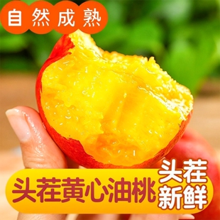 正宗山西麻点黄肉油桃甜脆桃子新鲜水果当季现摘脆甜黄心产地直发