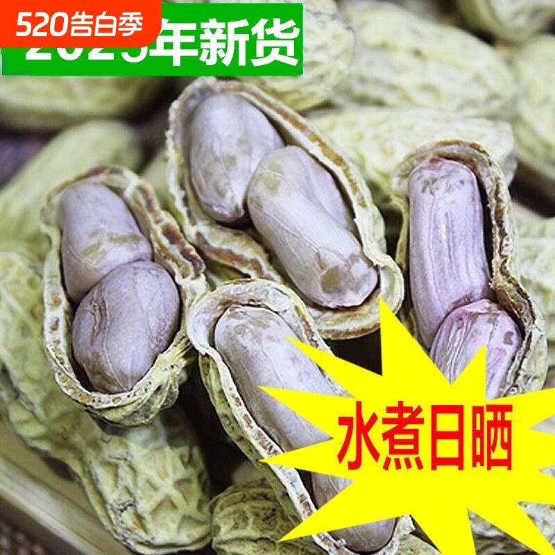 水煮花生咸干龙岩带壳晒坚果原味蒜香湿烤炒货小零食五香新鲜好吃