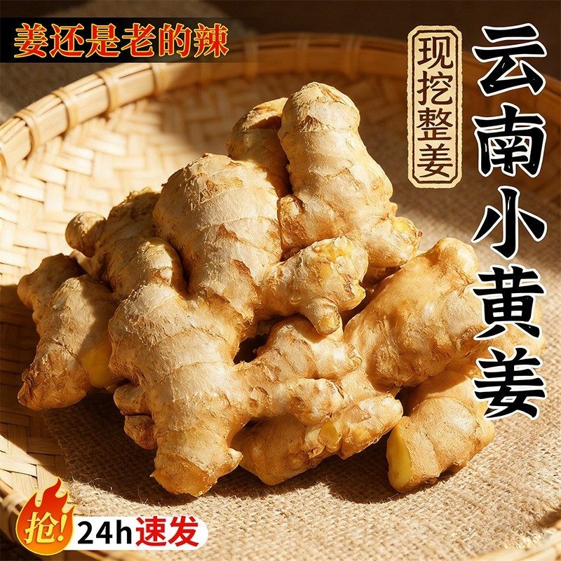 小黄姜正宗云南2025新鲜嫩姜嫩子姜现挖农家沙姜老姜生姜蔬菜批发,水产肉类/新鲜蔬果/熟食,生姜/南姜,淘宝优惠券,粉丝福利购,淘宝优惠卷