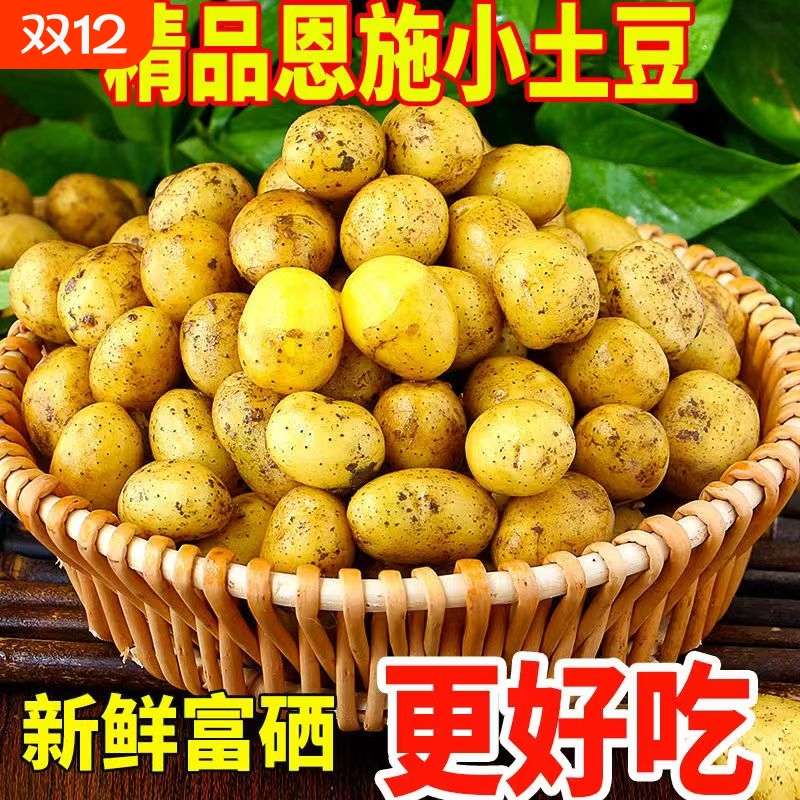 恩施小土豆4500g|超1000次加购