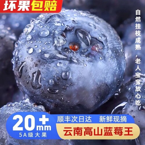 云南蓝莓新鲜水果鲜果当季特大果现摘L25花香高山孕妇怡颗整箱