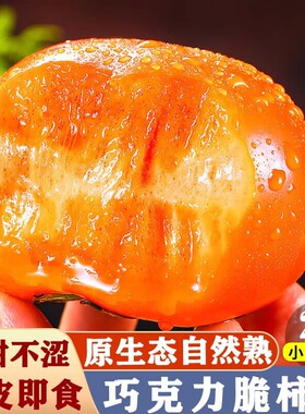 陕西当季新鲜正宗脆柿子