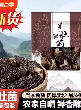 【果官宣】精选羊肚菌头茬正品新鲜煲汤滋补食材炖汤干货无干燥剂