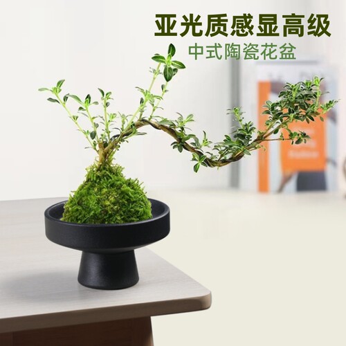 中式亚光陶瓷盆景|超2000次加购