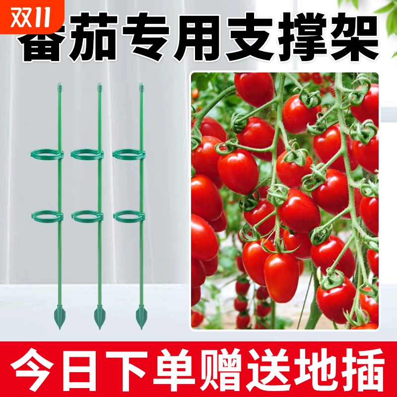 西红柿番茄辣椒固定杆爬藤