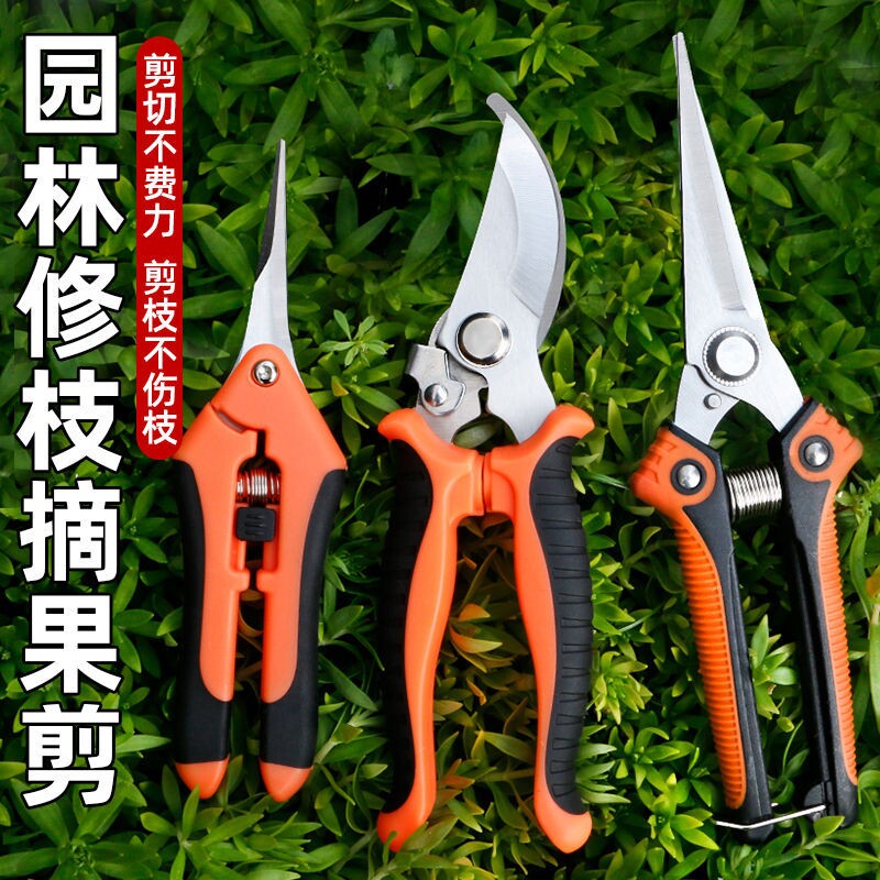 家用修枝剪果树专用剪子鲜花图片