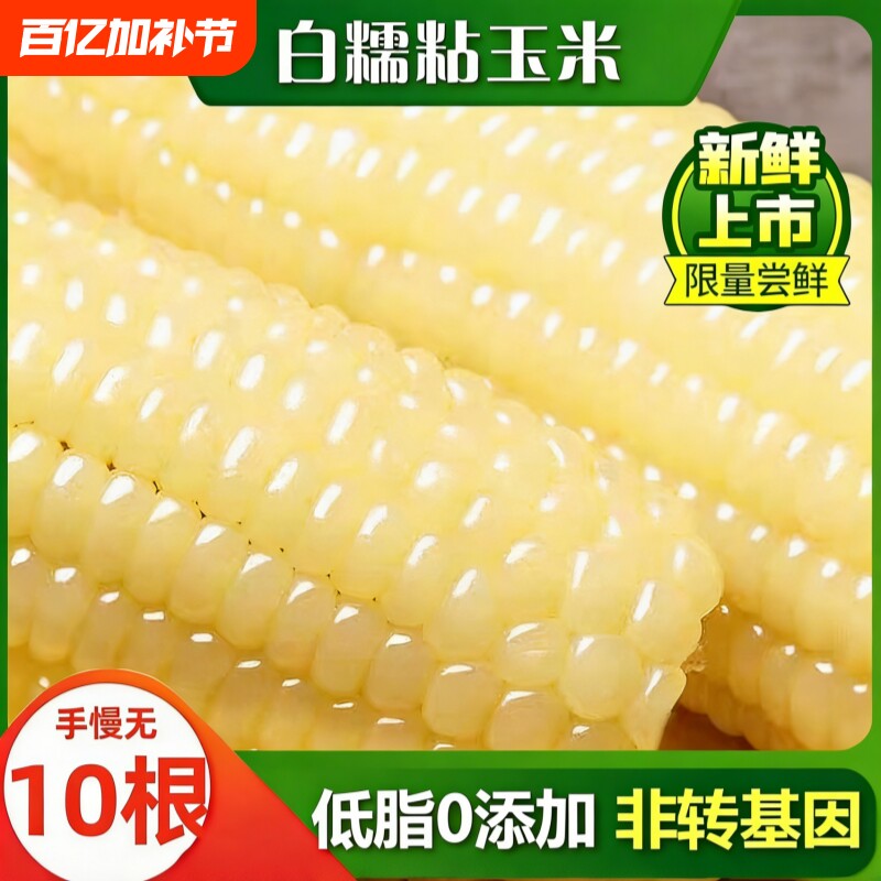 东北白糯玉米甜糯款黏糯鲜香粗粮代餐健康宿舍加热即食玉米黑土地