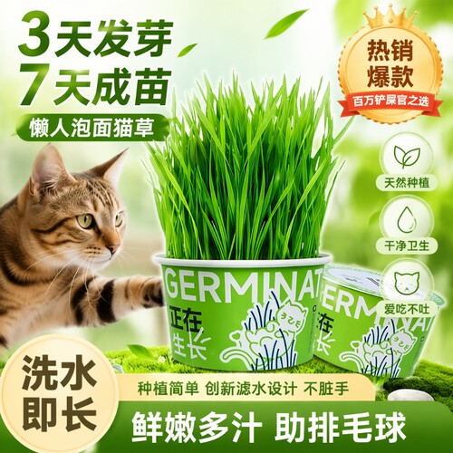 懒人泡面猫草盆植物纤维温和排除体内毛球猫猫洁齿小麦水培猫草盆